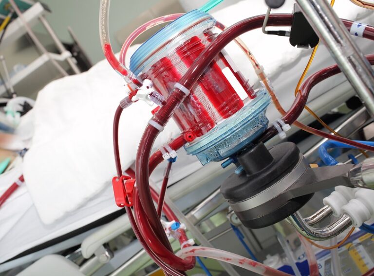 Hemocompatibility Analysis Blood Tubing - Small