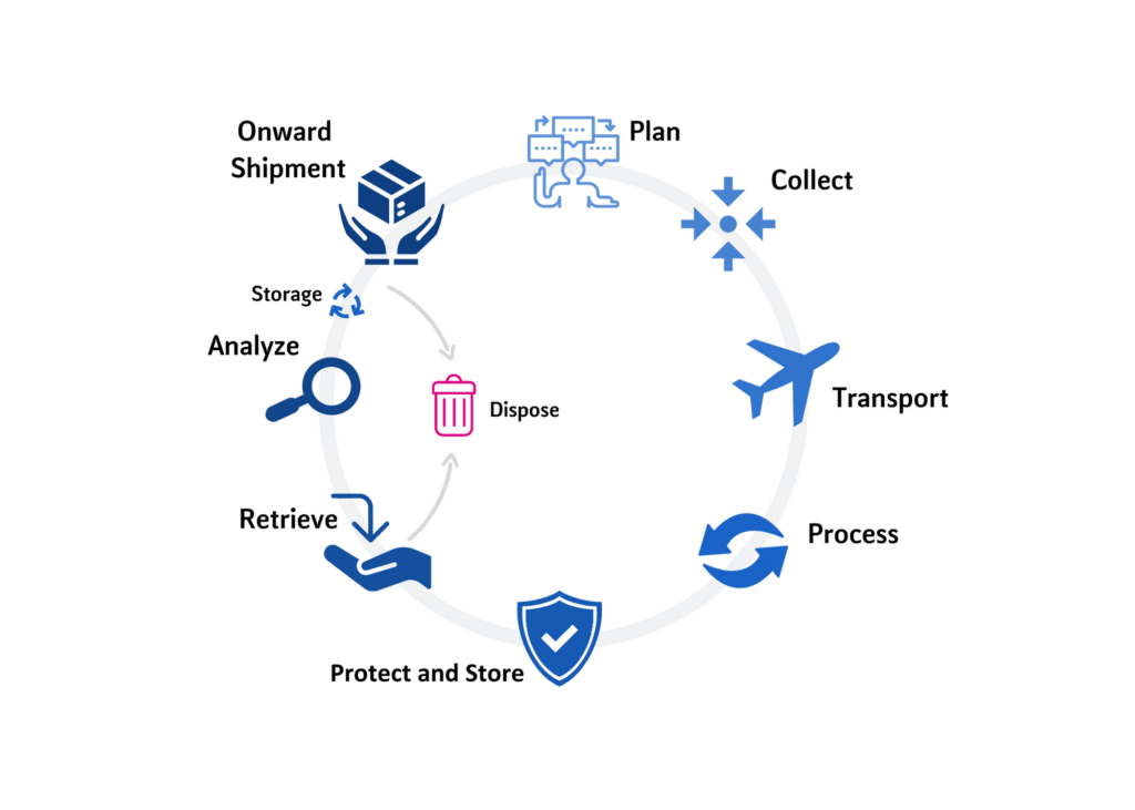 Illustration of the sample management process, including planning, collection, transport, and storage, as part of MLM Medical Labs' comprehensive bio sample management services