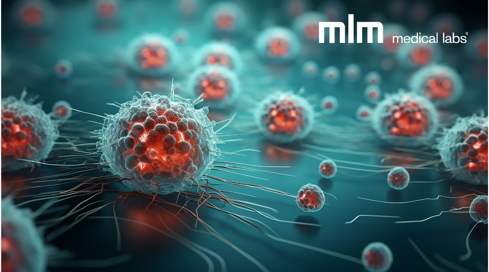 PBMC and Flow Cytometry in Immunotherapy Development